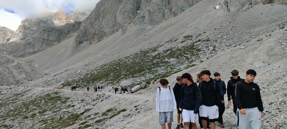 Còpia de IMG20240612134132