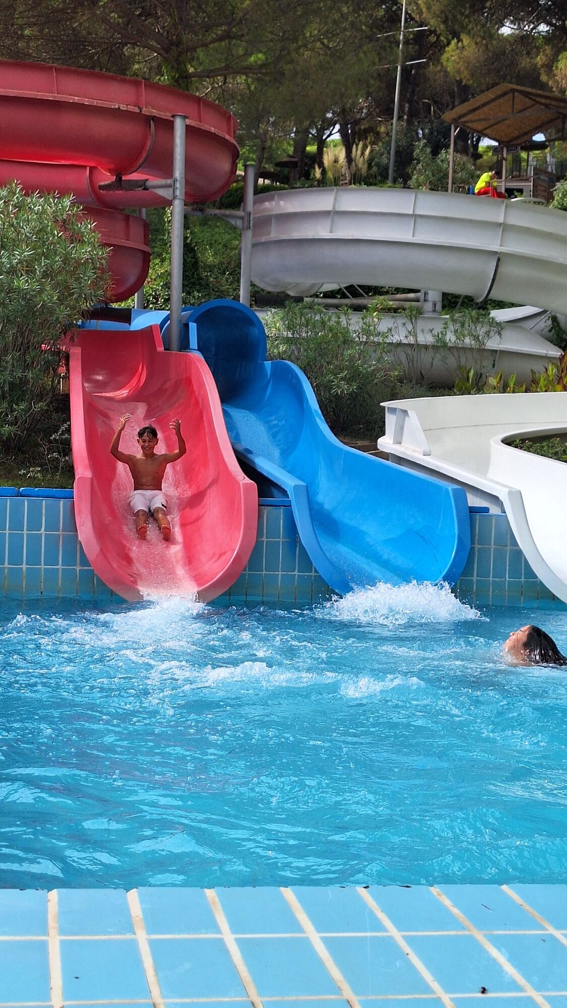 Còpia de 20240910_120445