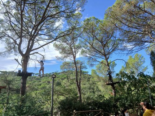 Còpia de 20241009_121734