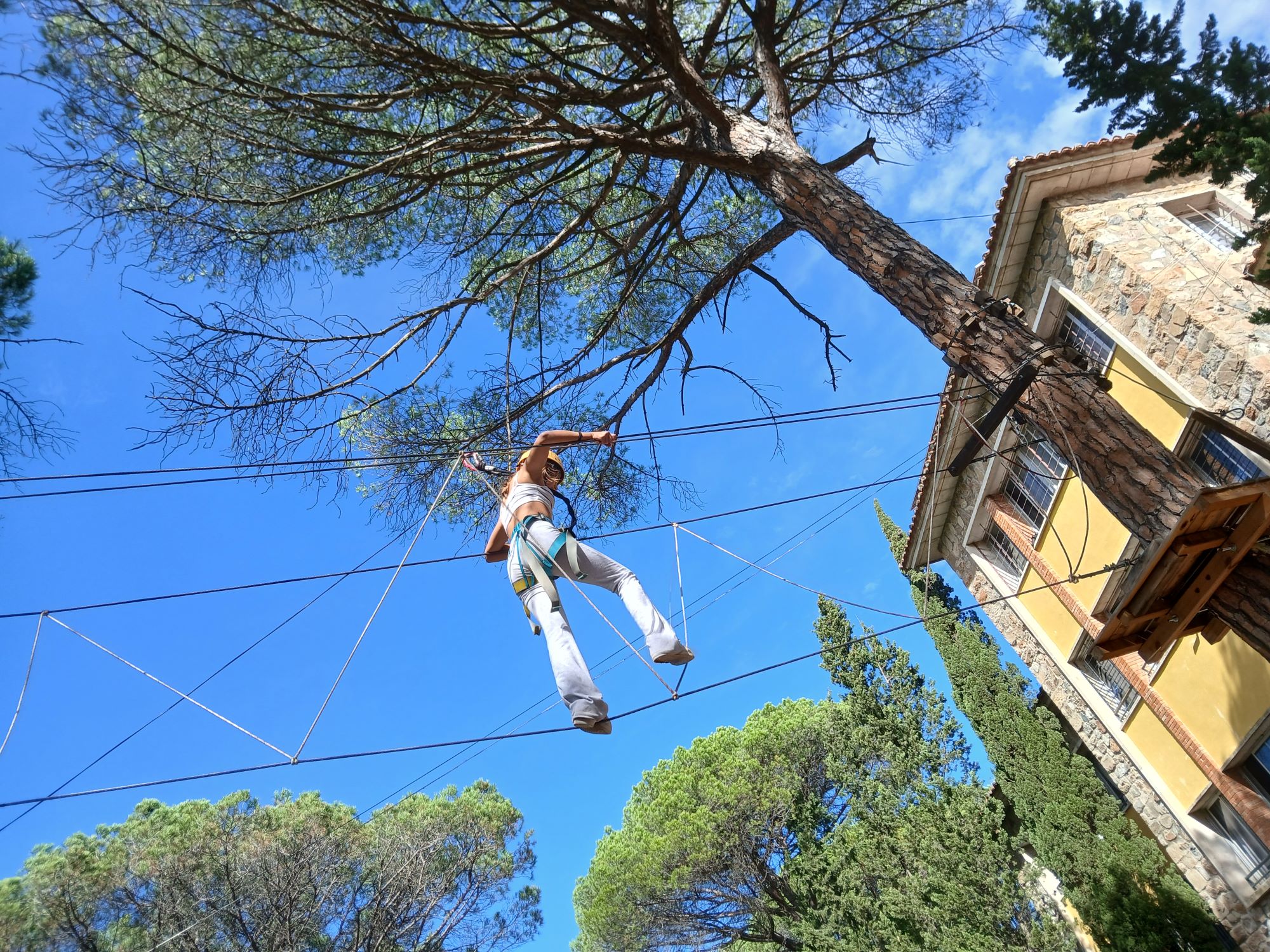 Còpia de 20241009_121801