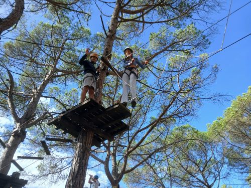 Còpia de 20241009_121814