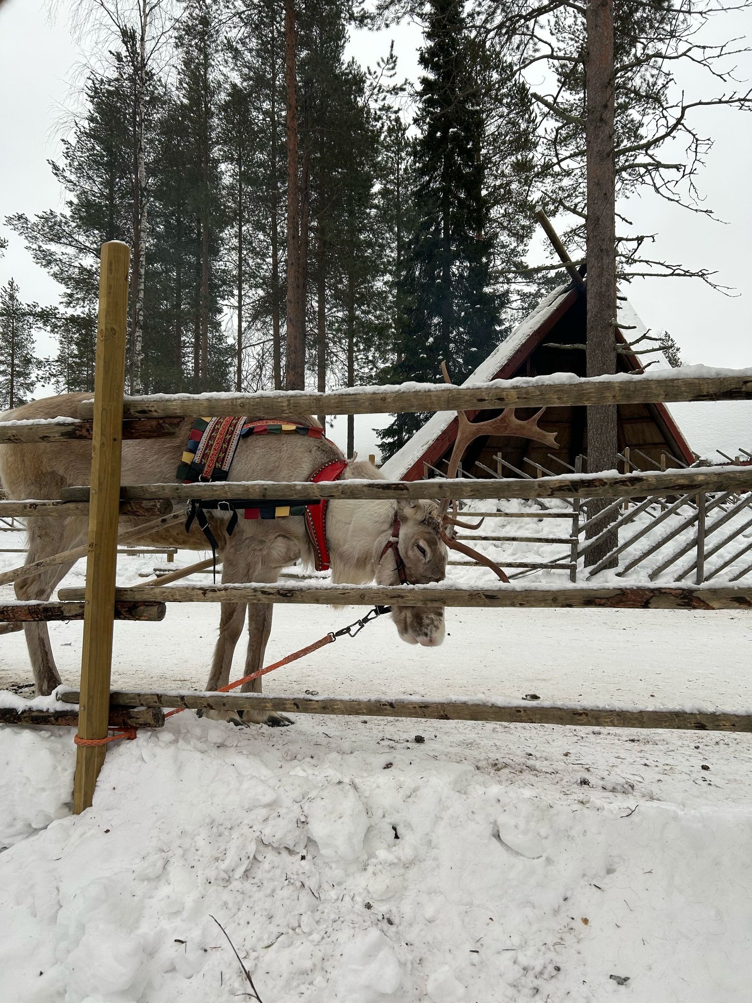 WhatsApp Image 2025-02-21 at 10.21.49