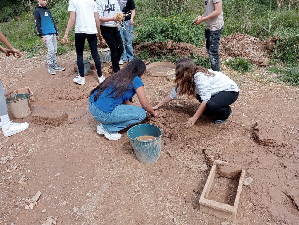 IMG20250325123857_BURST011