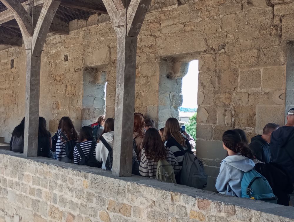 Còpia de 1747591778046