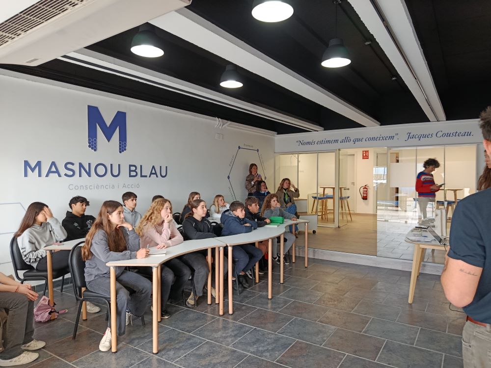 IMG_20250506_093936 (1)