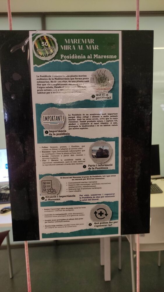 Foto 2 presentació treball curs i expo 27.06.2025