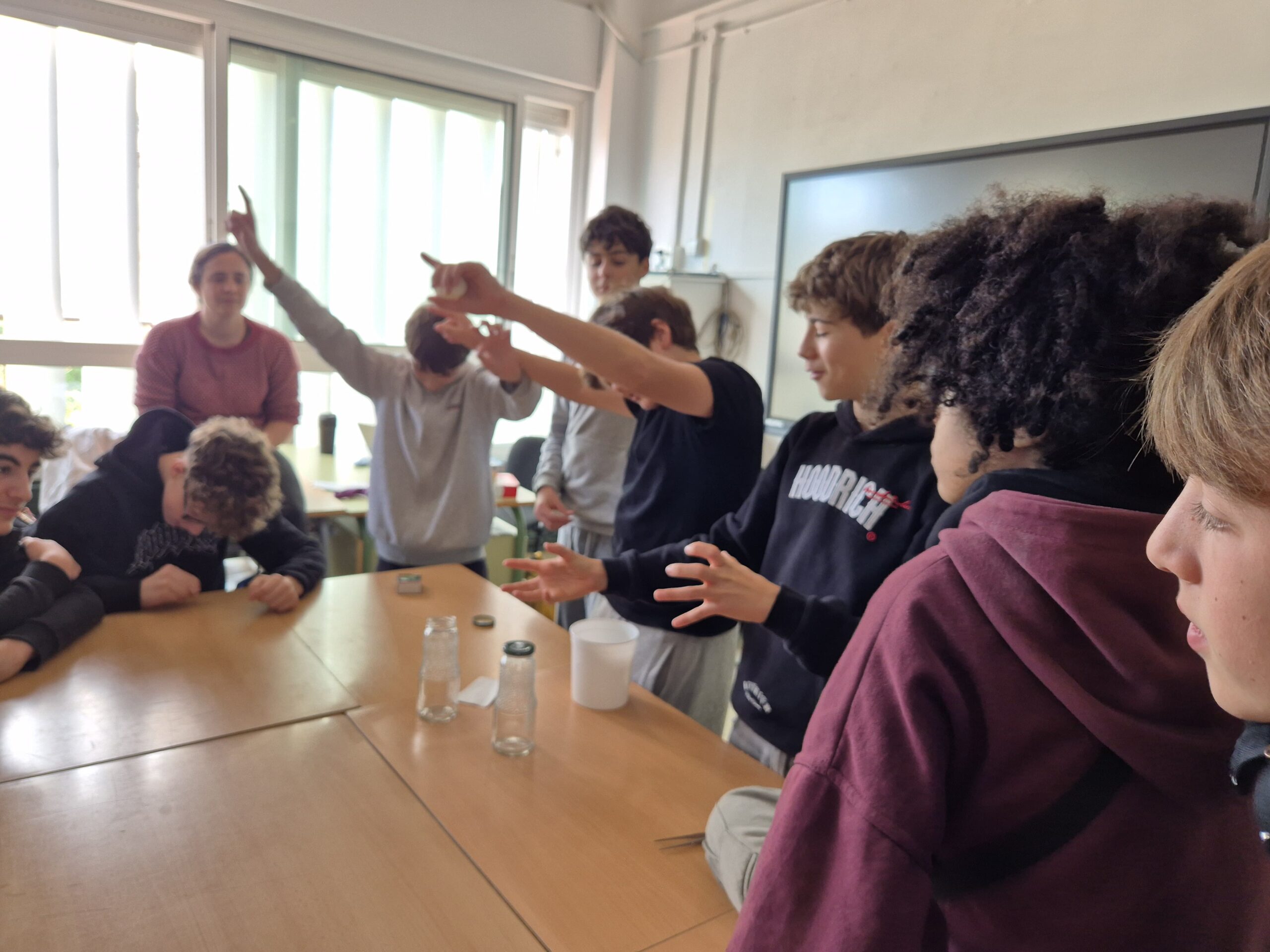 Còpia de 20260218_112605