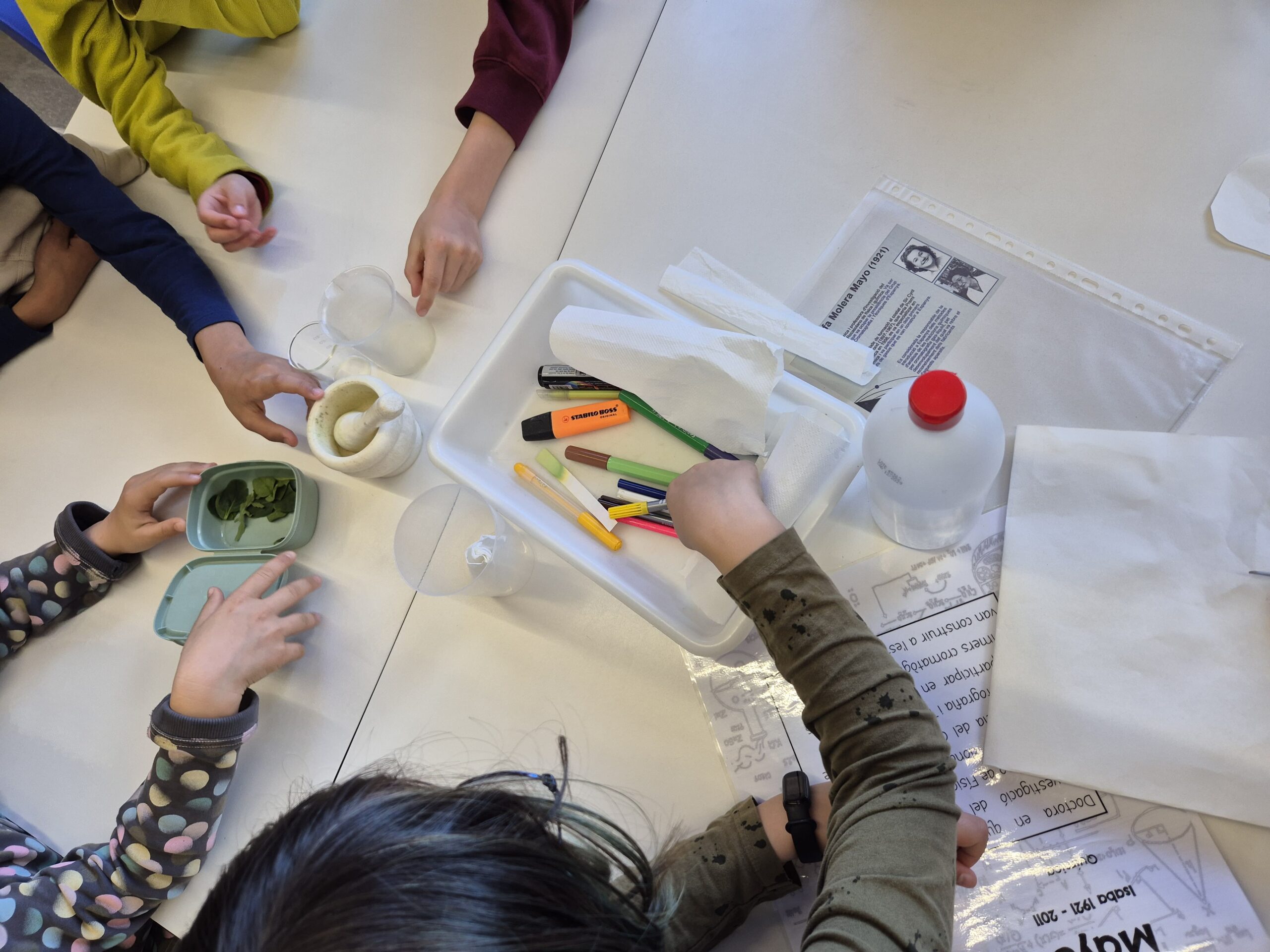 Còpia de 20260219_152550