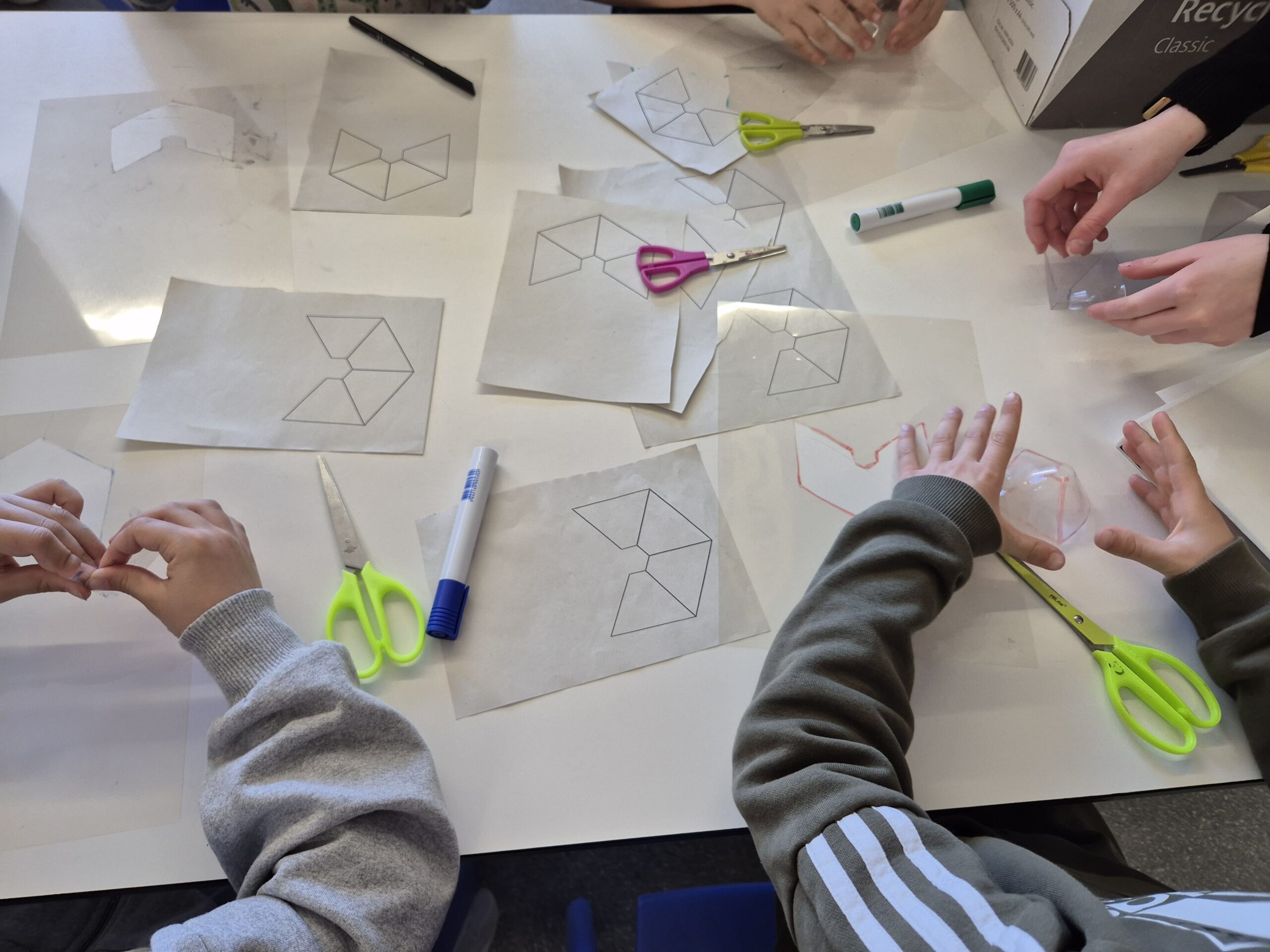 Còpia de 20260219_152849