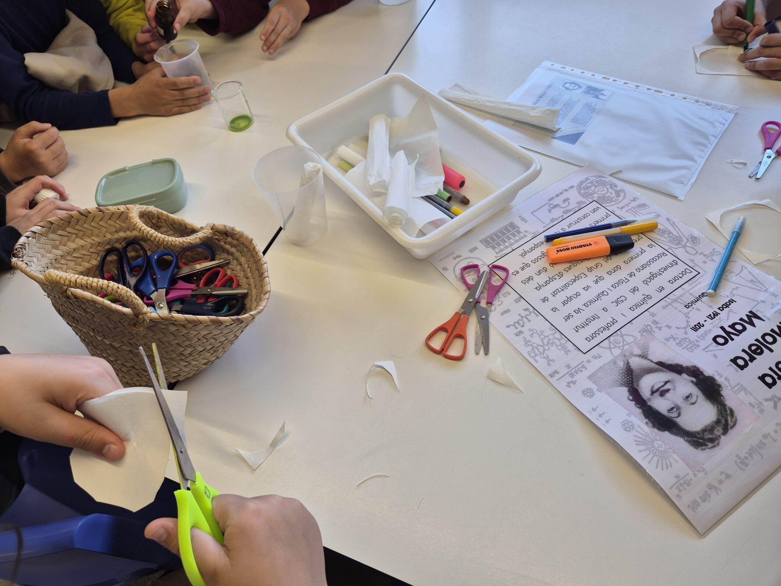 Còpia de 20260219_152856