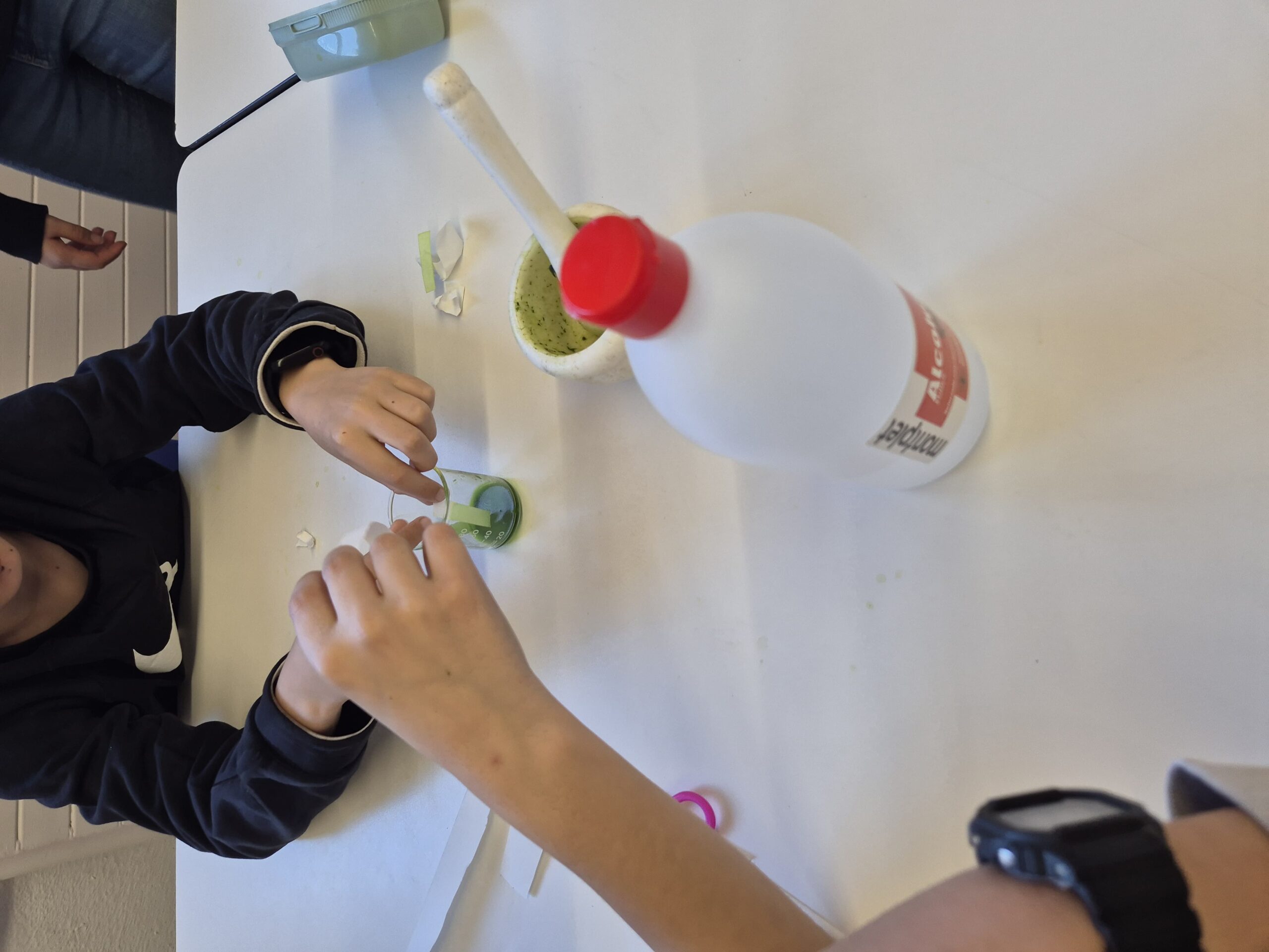 Còpia de 20260219_154502