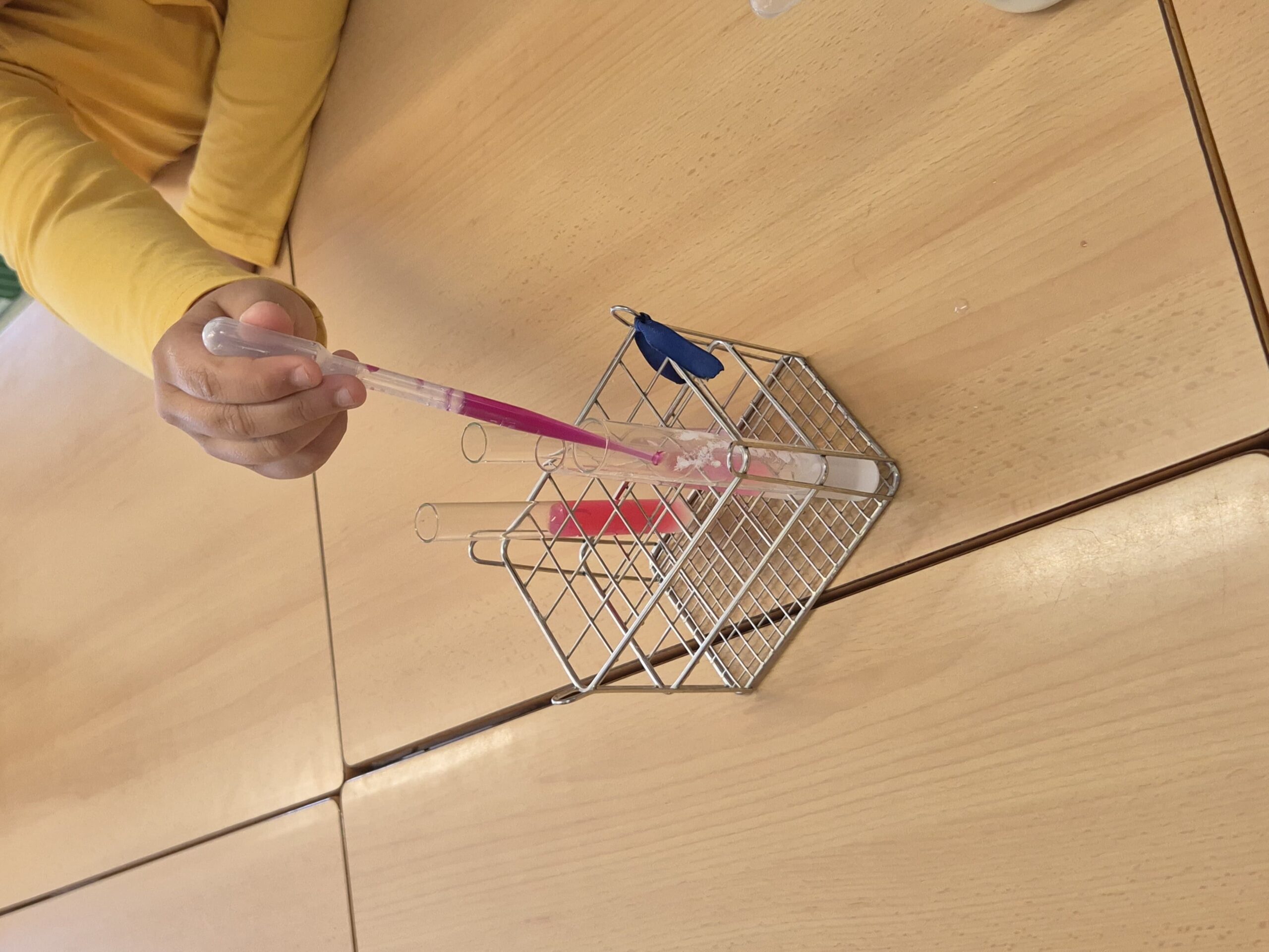 Còpia de 20260225_154723