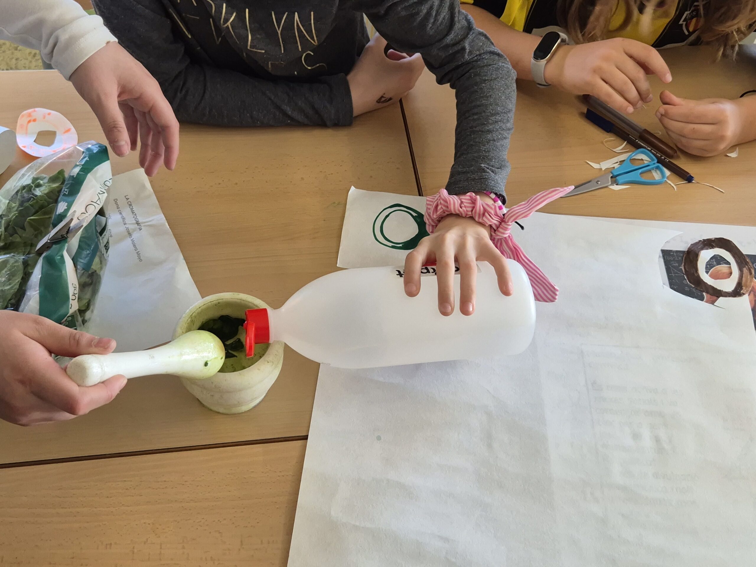 Còpia de 20260225_154751