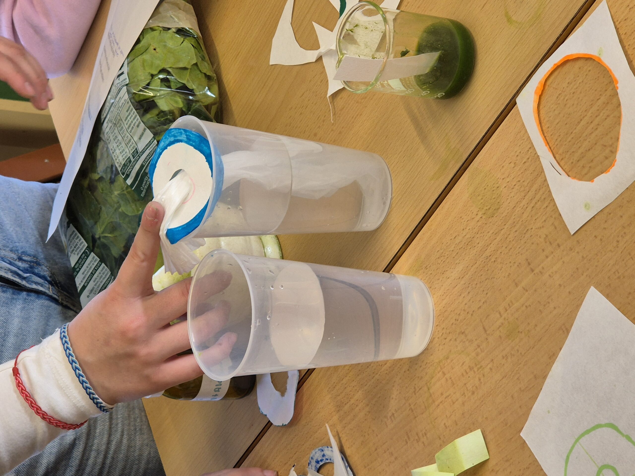 Còpia de 20260225_162657