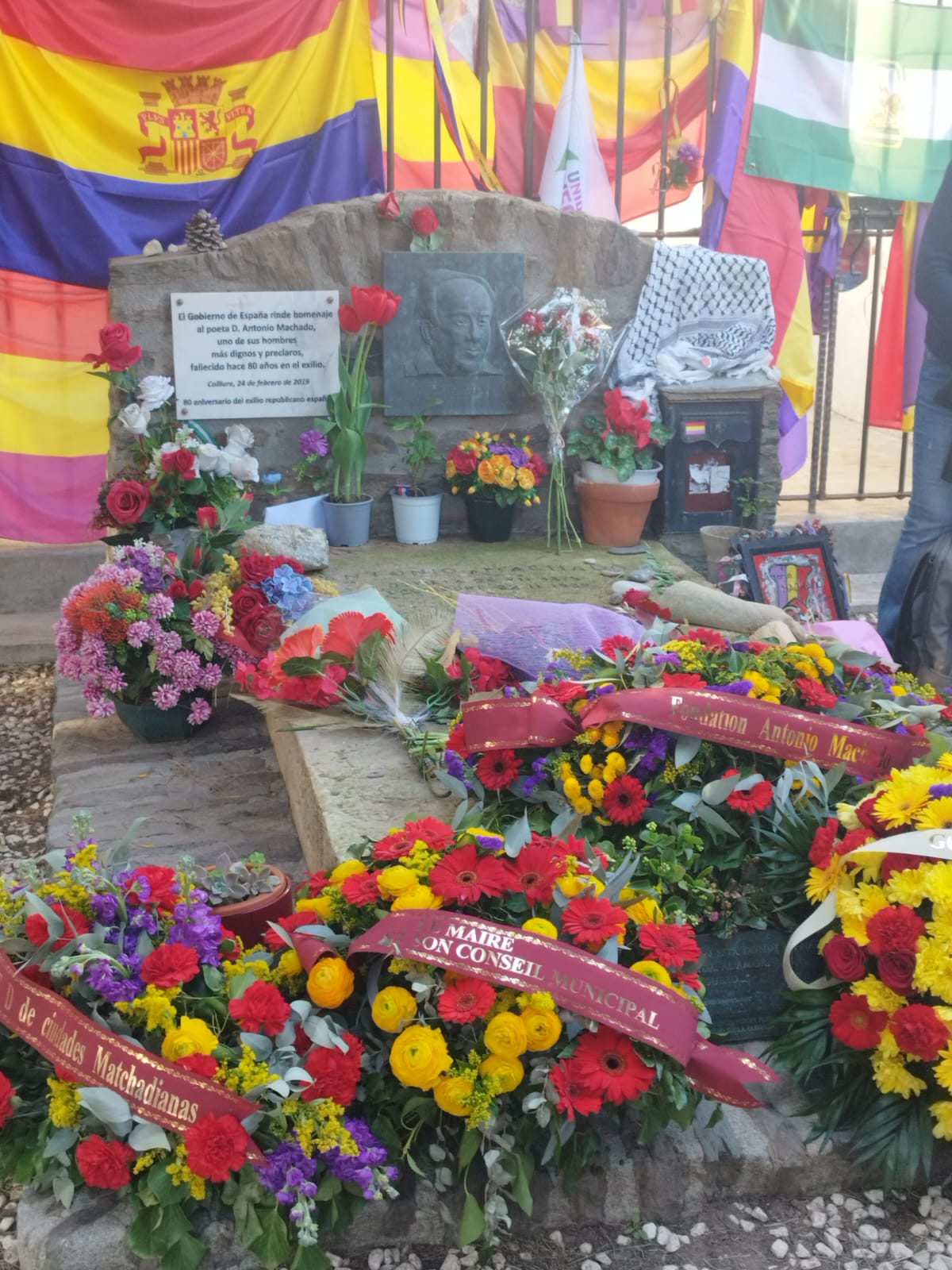 Còpia de IMG-20260224-WA0032