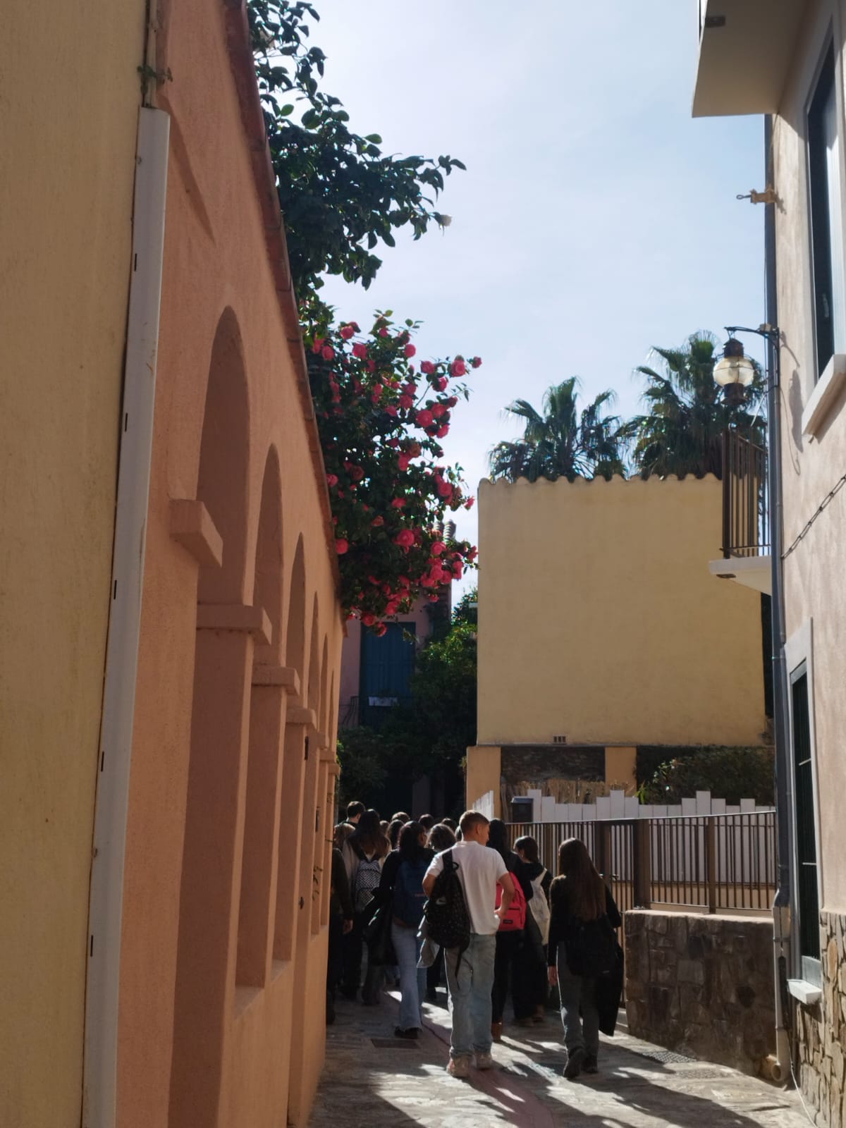 Còpia de IMG-20260224-WA0043