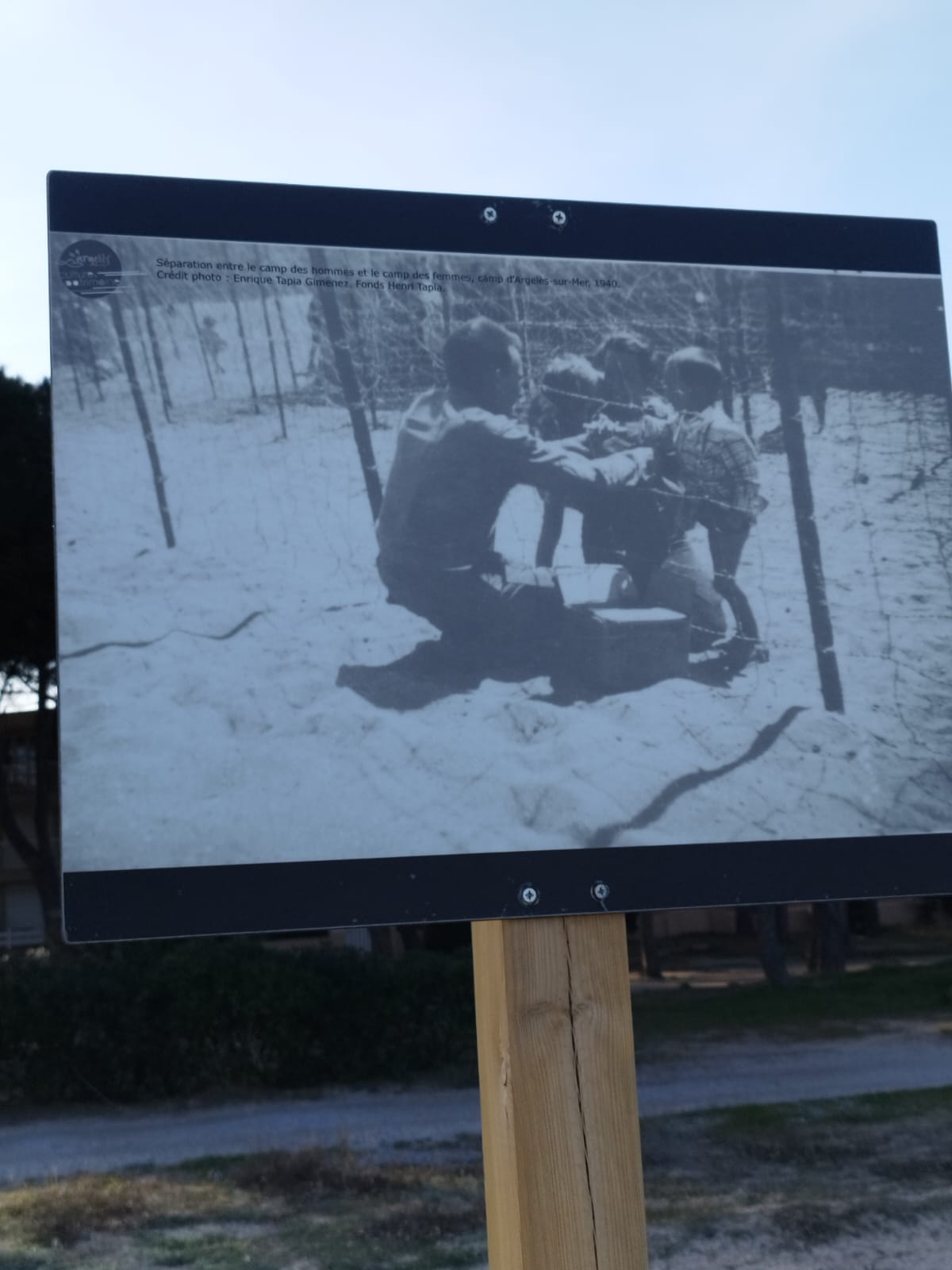 Còpia de IMG-20260224-WA0044