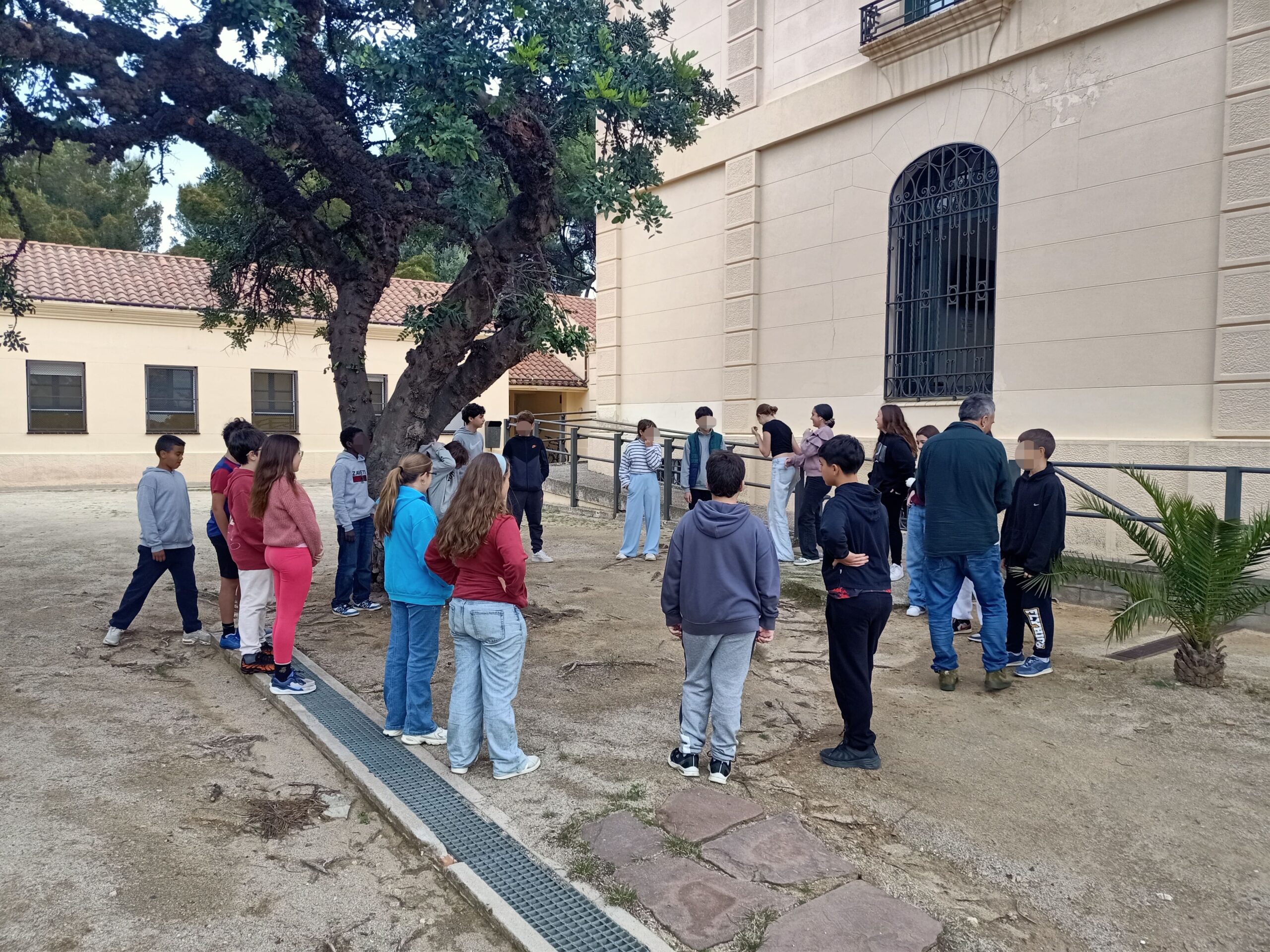 Còpia de IMG20260312093639 pix