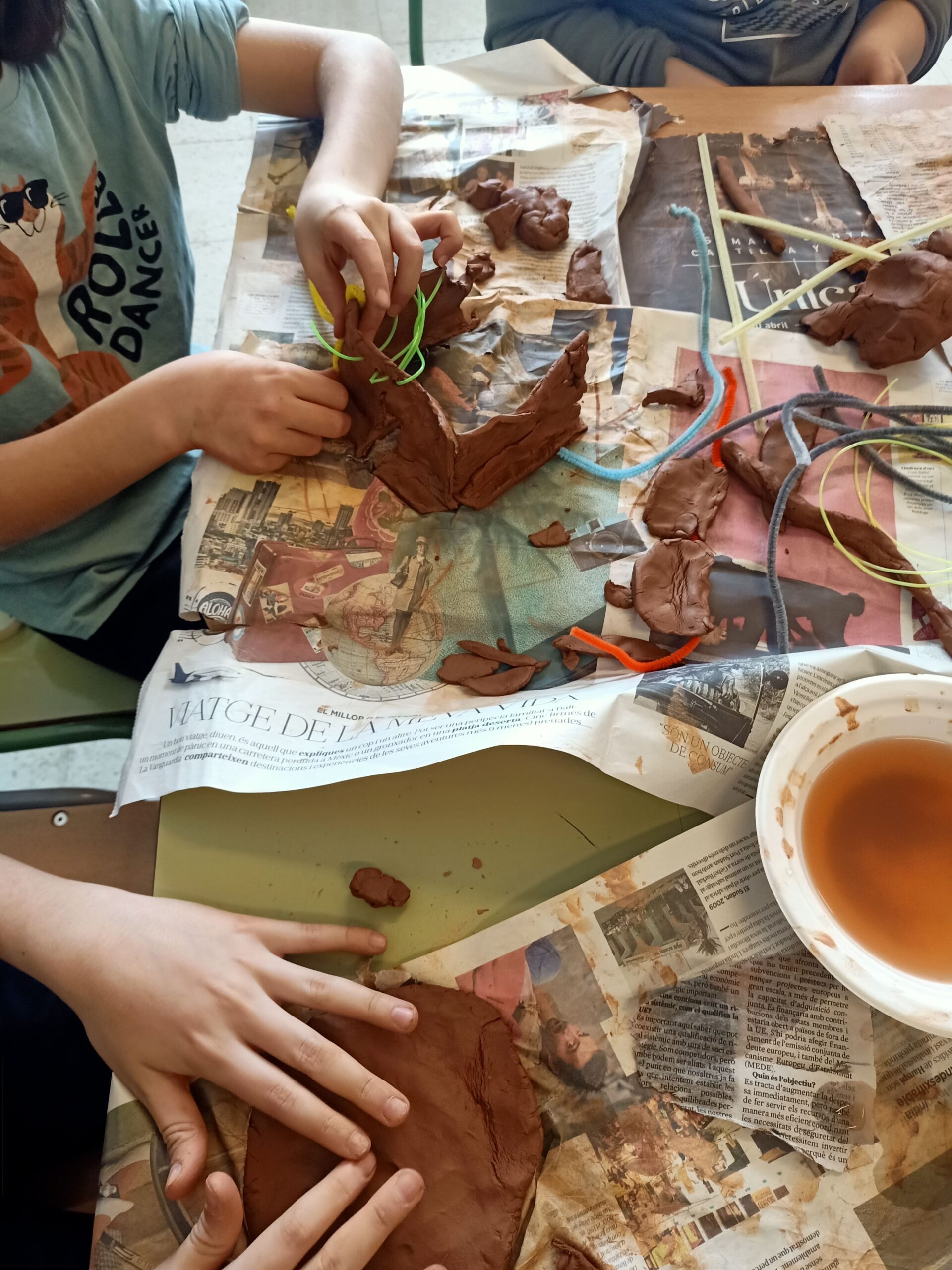 Còpia de IMG20260312112100