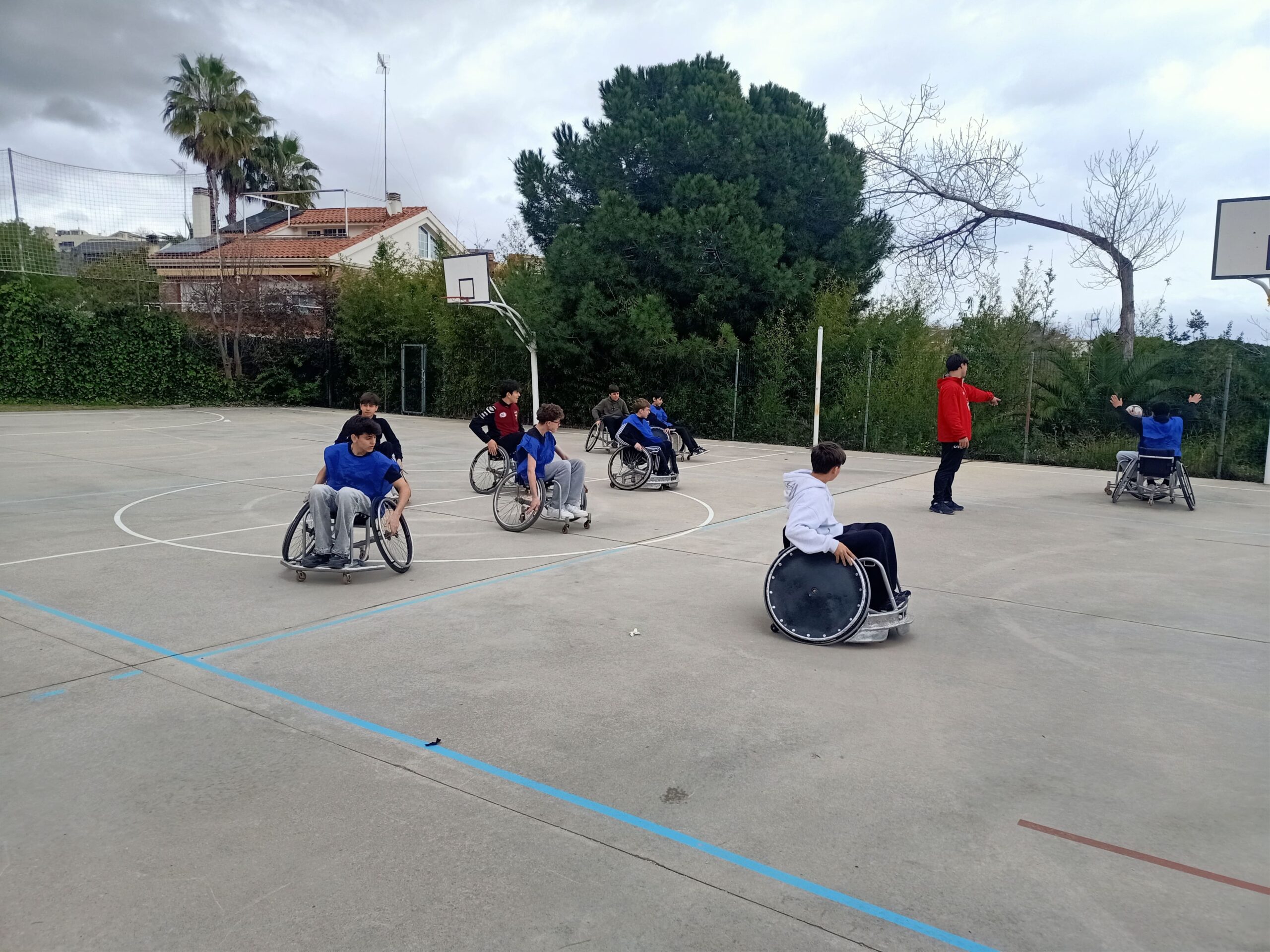 Còpia de IMG20260312121417