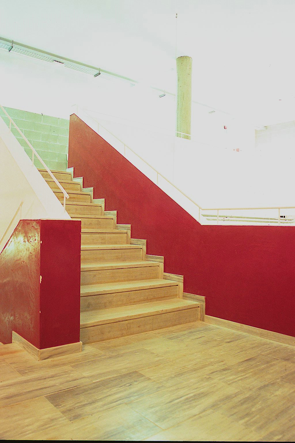 Escala accés plantes