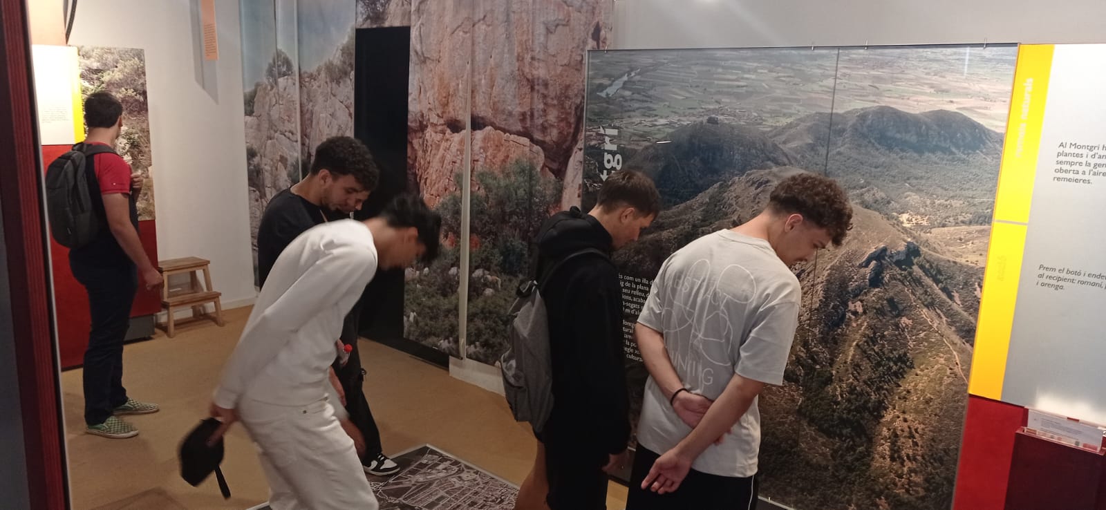 WhatsApp Image 2024-09-19 at 18.44.45