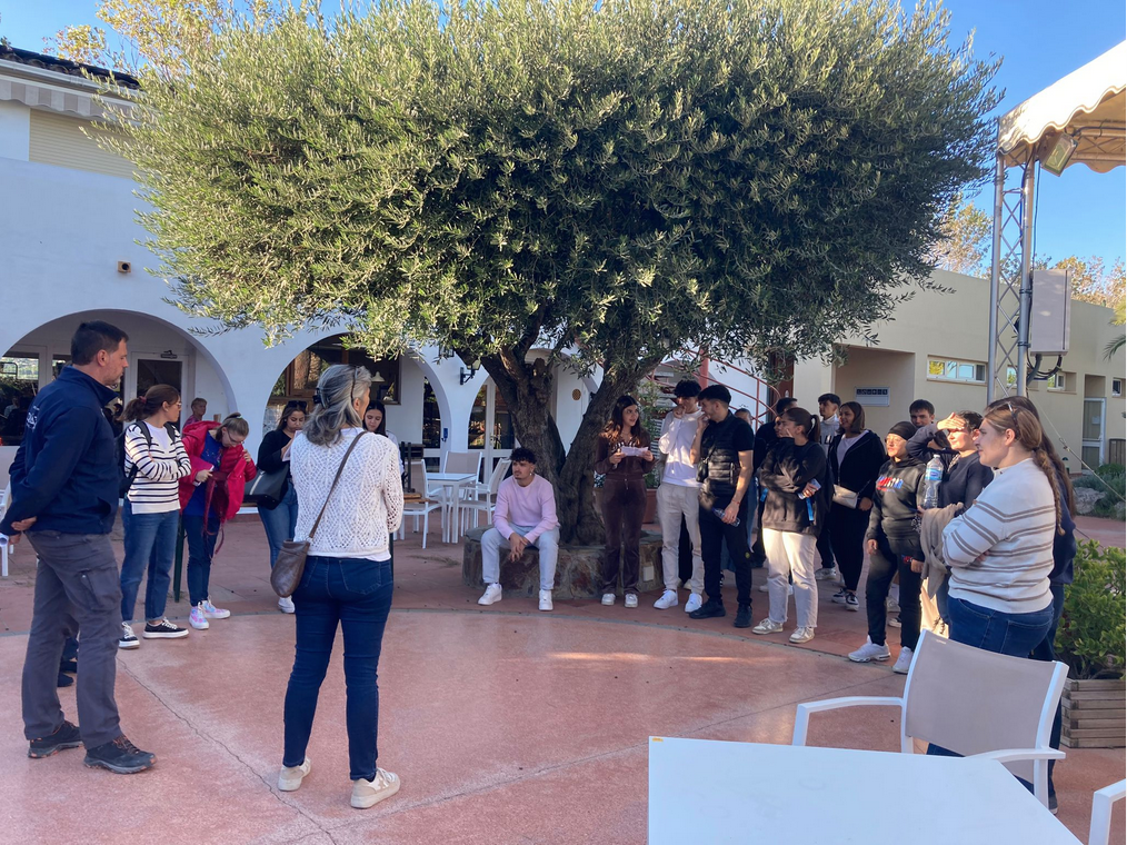 Captura de pantalla 2024-10-04 a les 13.06.52