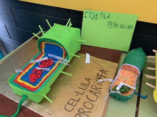 2329B20D-FC6A-457E-A552-975E36B67C15