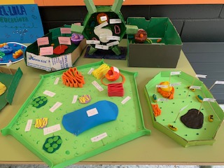 9A6592A3-279E-4A79-BE96-39BE1EF1E176