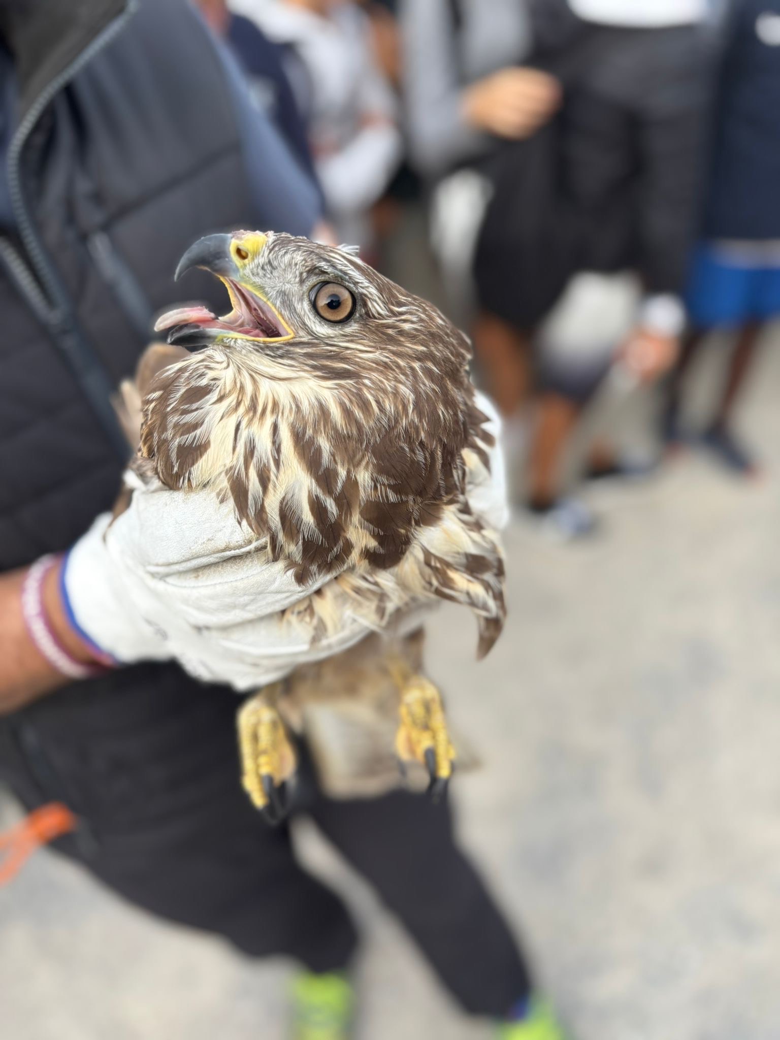 402decad-8f96-419a-b165-f55d096a061a