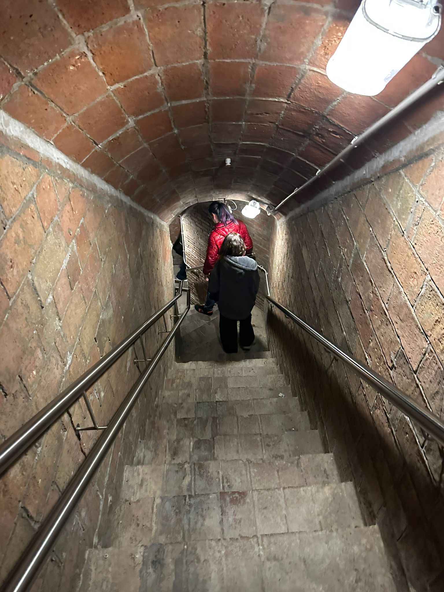 WhatsApp Image 2026-02-10 at 15.18.27 (1)