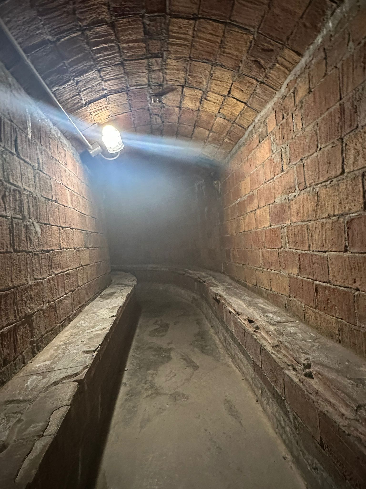 WhatsApp Image 2026-02-10 at 15.18.27