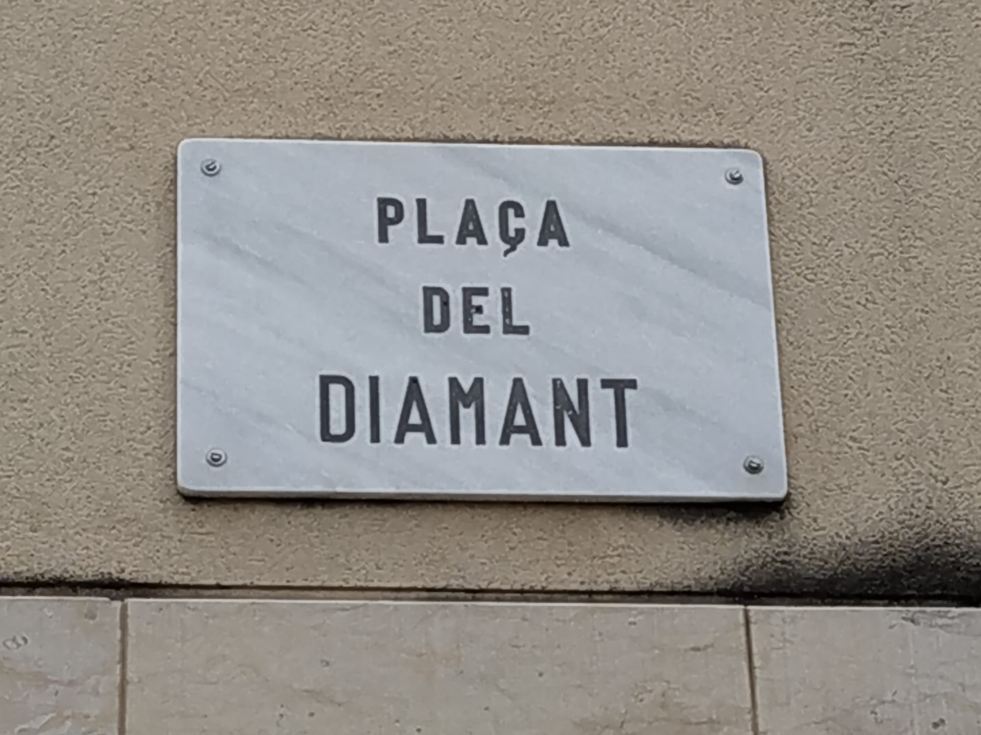 WhatsApp Image 2026-02-10 at 15.29.35