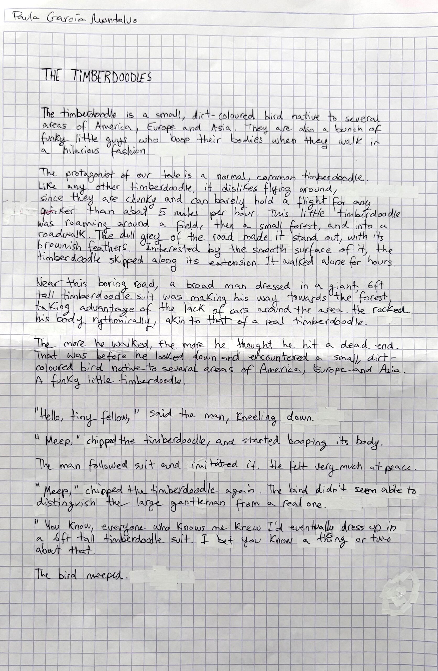Text Paula García Montalvo (4tC)