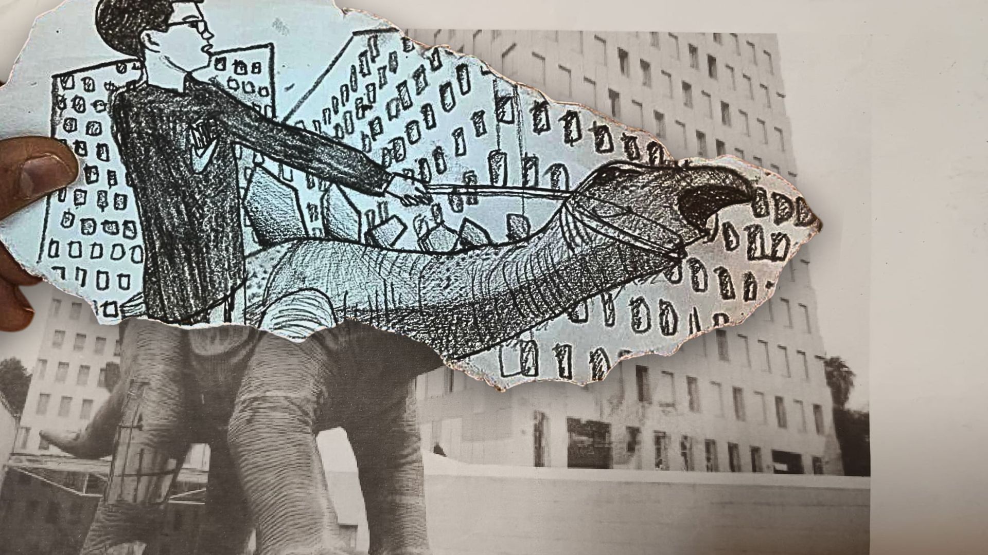 Disseny sense títol