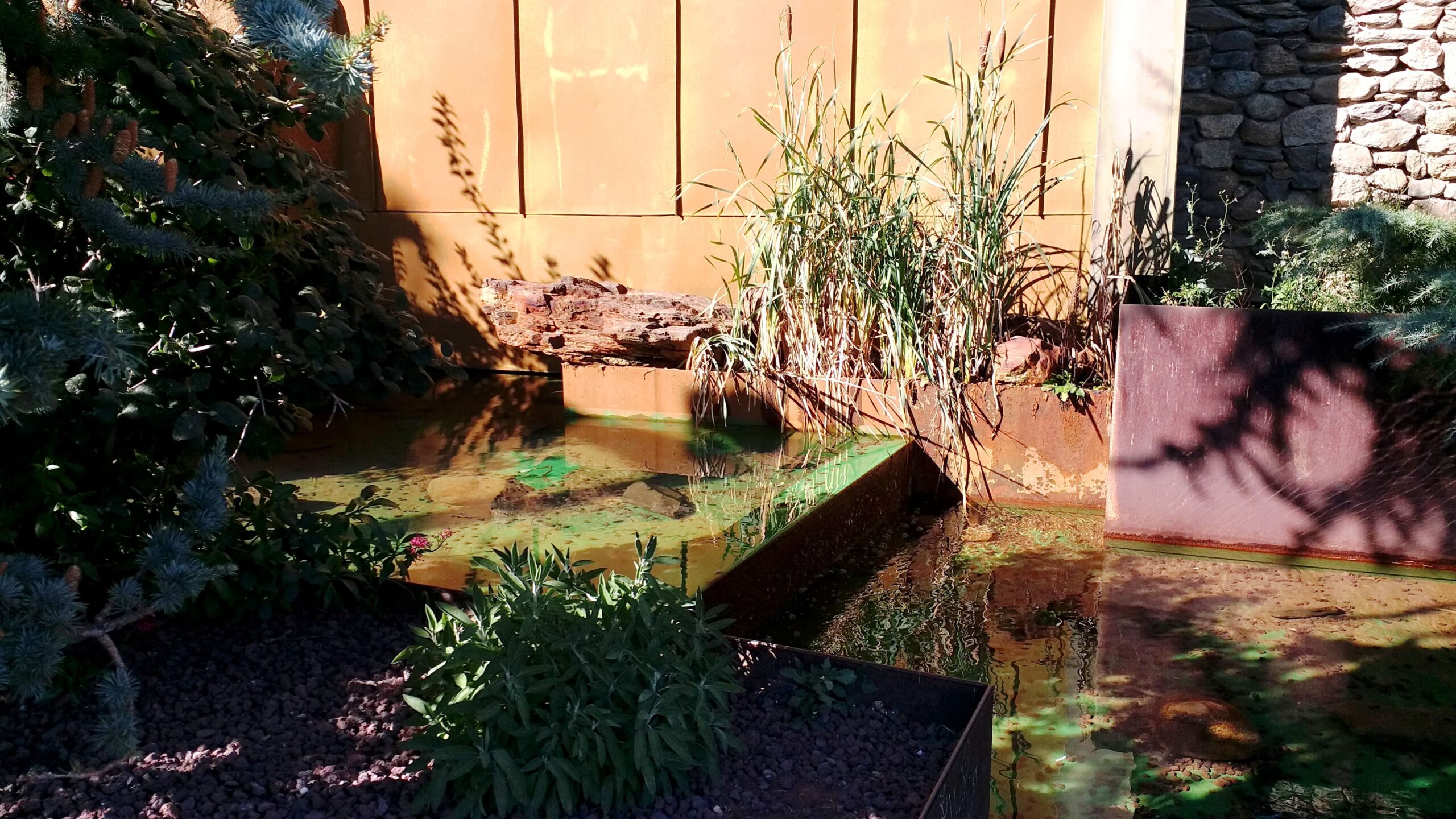 INS-OCTUBRE-2021 (31)