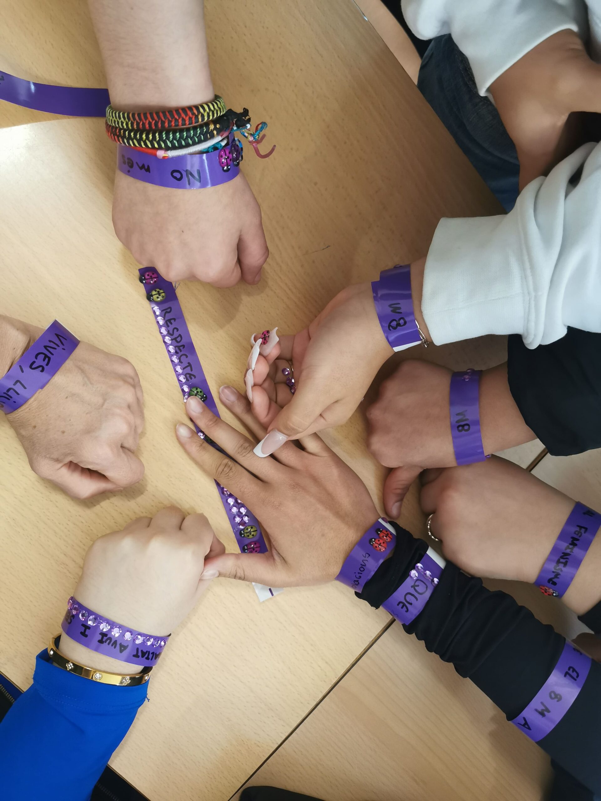 Proposta activitats..