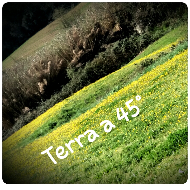 TERRA A 45º
