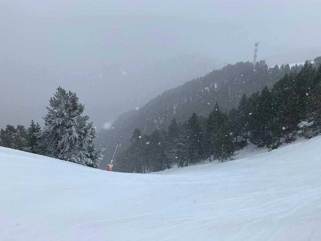 WhatsApp Image 2020-03-04 at 20.35.56