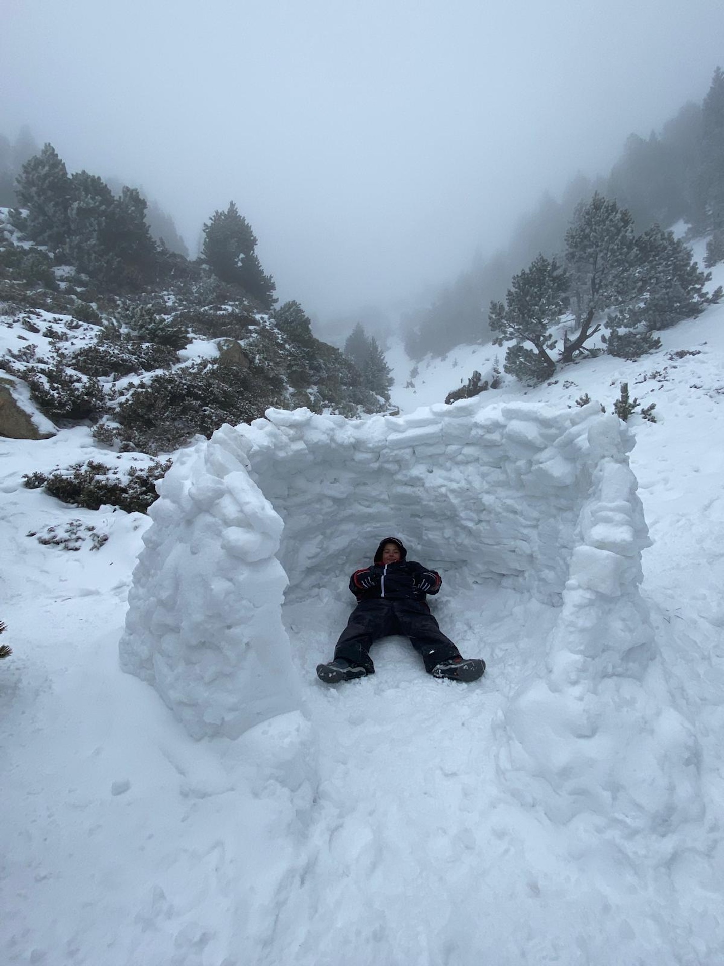 2d8add20-f246-473d-9d94-aa1acd376a5a