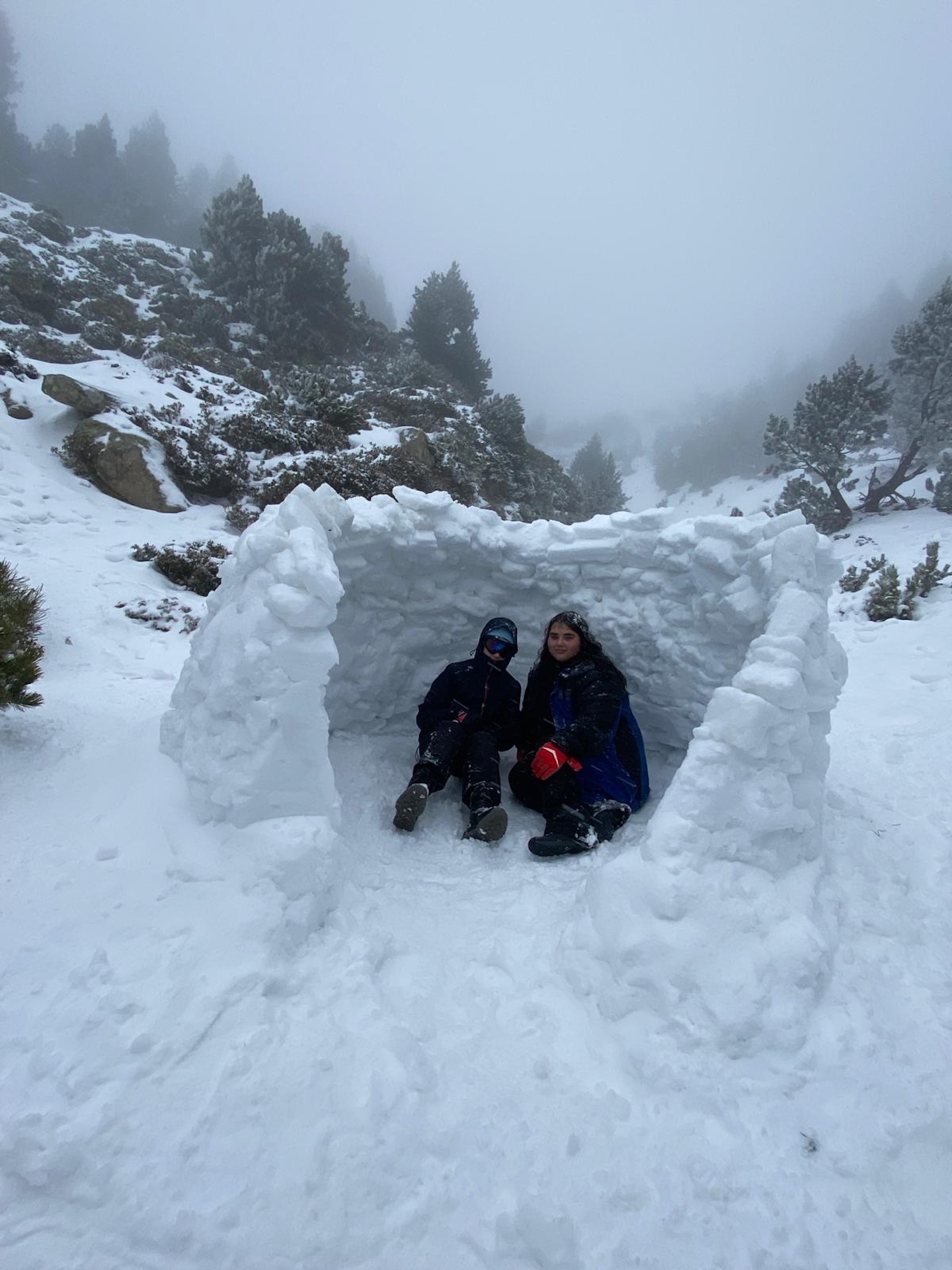 88689b4d-3668-44ff-9c3e-b053e5dfec0b