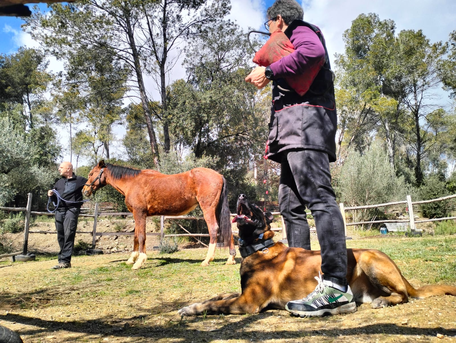 WhatsApp Image 2025-03-17 at 16.02.00 (1)