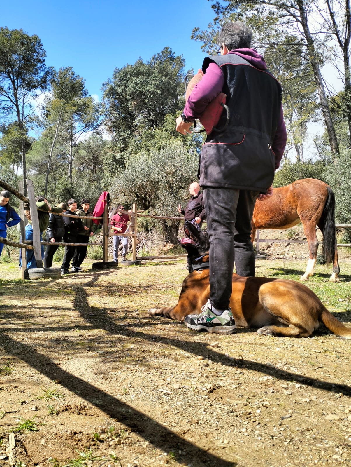 WhatsApp Image 2025-03-17 at 16.02.00 (2)