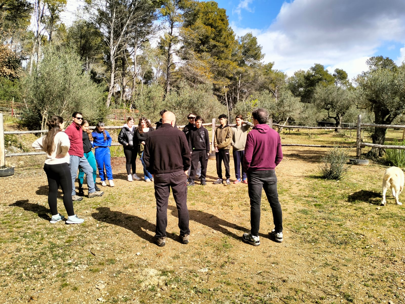 WhatsApp Image 2025-03-17 at 16.02.01 (1)