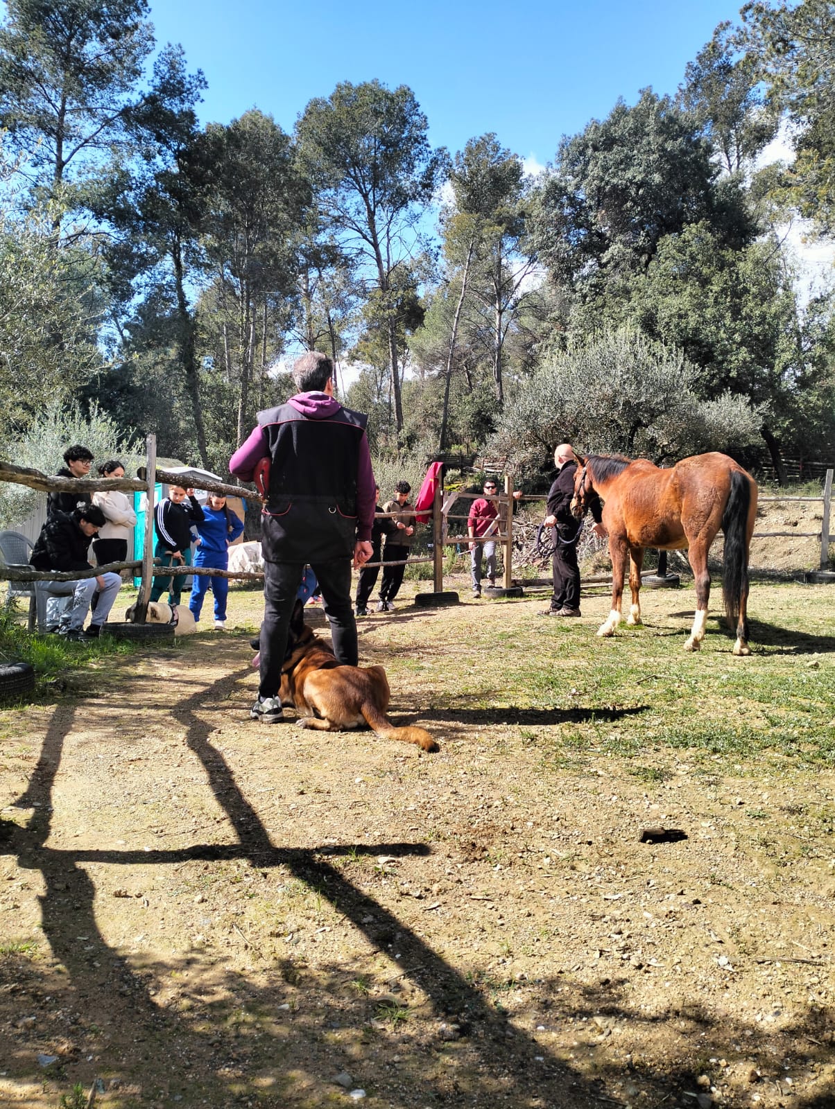 WhatsApp Image 2025-03-17 at 16.02.01 (2)