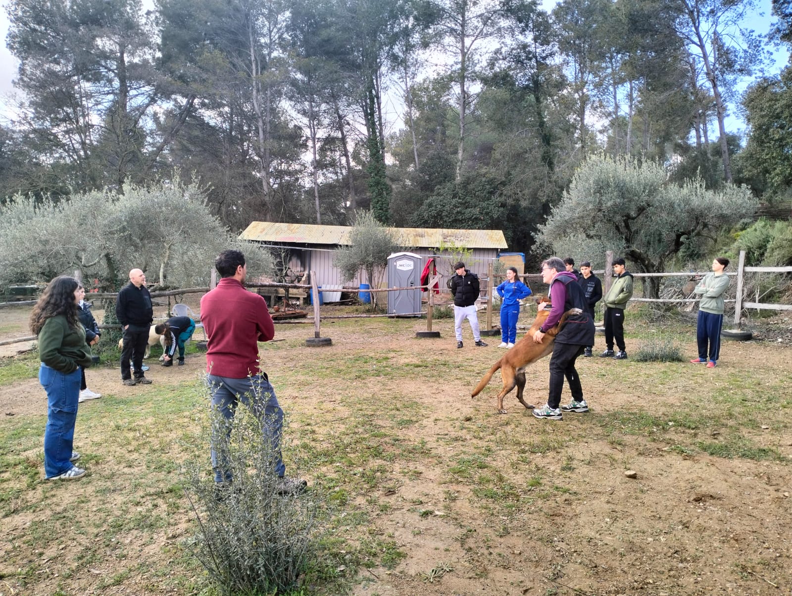 WhatsApp Image 2025-03-17 at 16.02.01 (3)