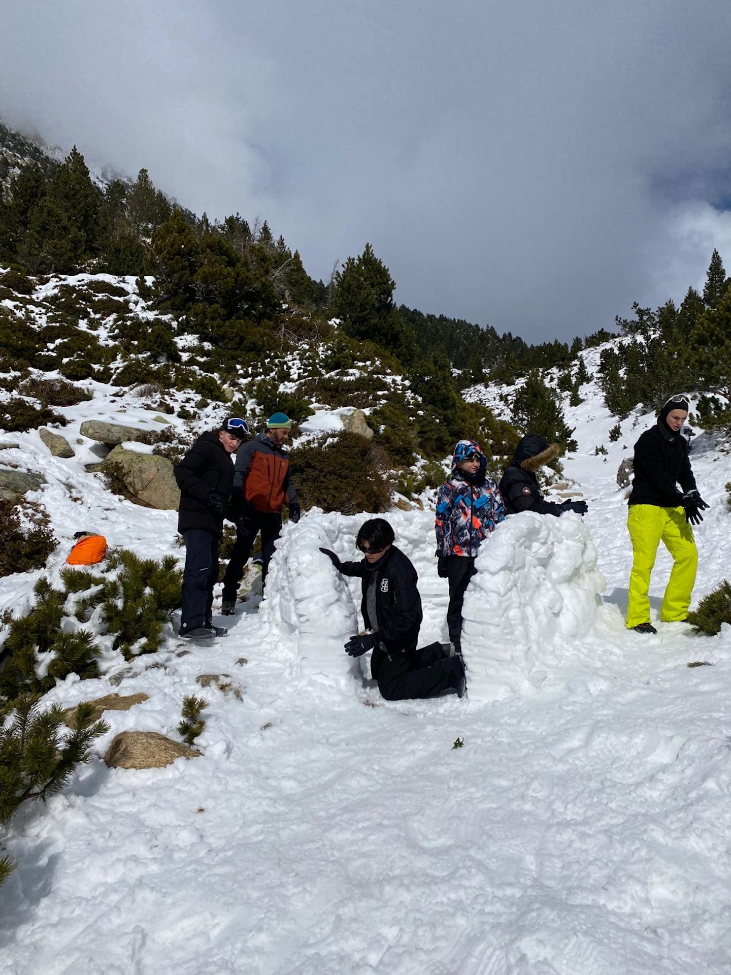 aa83ff66-f22b-49cf-8fdf-41db5c89b4a0