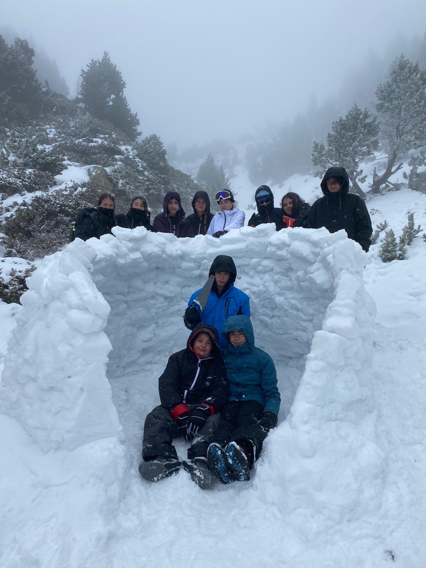 af7bd37e-6016-49df-9a99-2c878e62563e