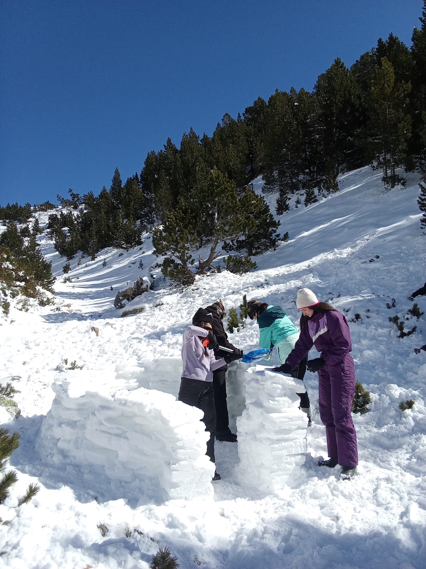 b7cd7e5c-fa7d-424b-8f96-b99ad33a84e0