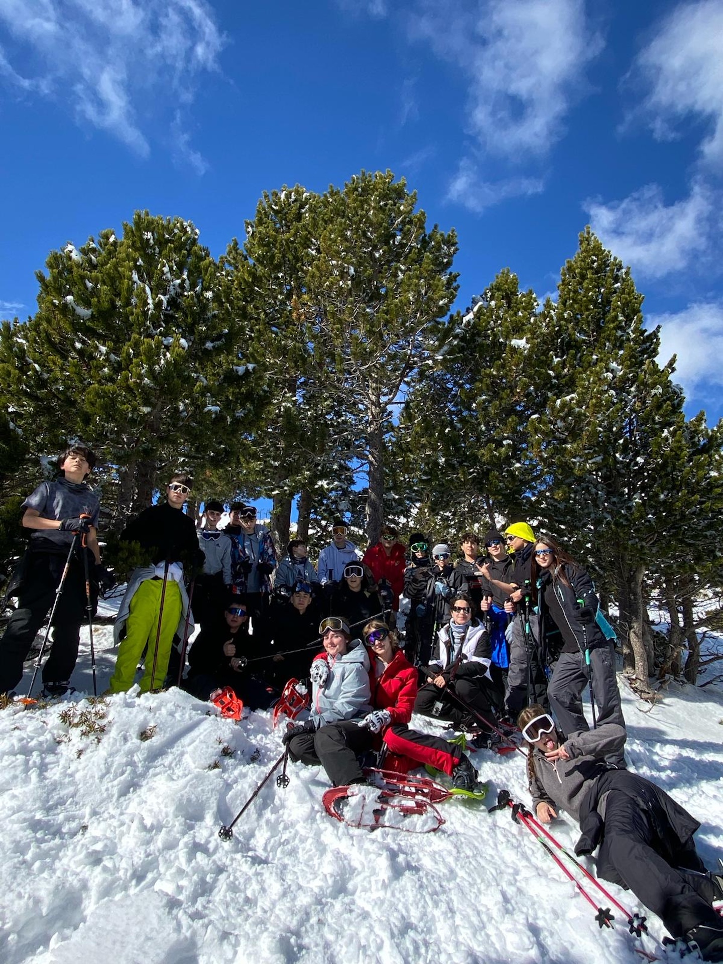 ff1feb4a-bc59-4630-b9f5-43829a80e934